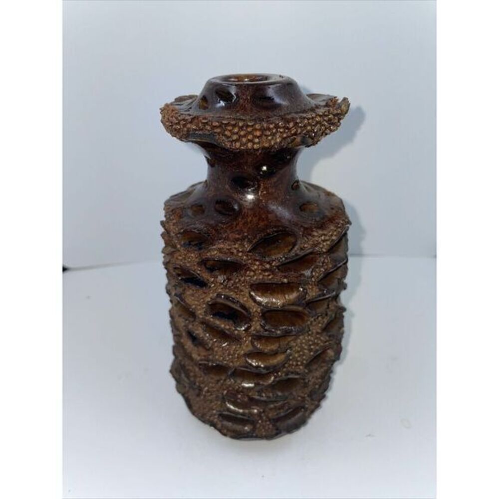 Handcrafted Banksia Nut Seed Pod Vase For Essential Oil Wβ Glass Tube 7" Tall